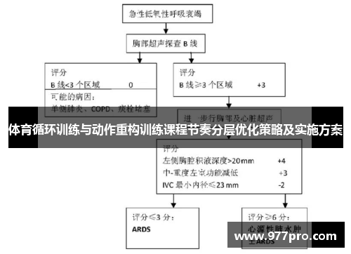 体育循环训练与动作重构训练课程节奏分层优化策略及实施方案