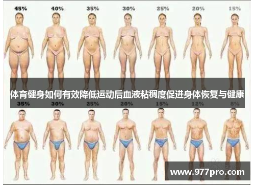 体育健身如何有效降低运动后血液粘稠度促进身体恢复与健康