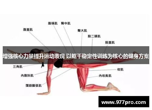 增强核心力量提升运动表现 以躯干稳定性训练为核心的健身方案